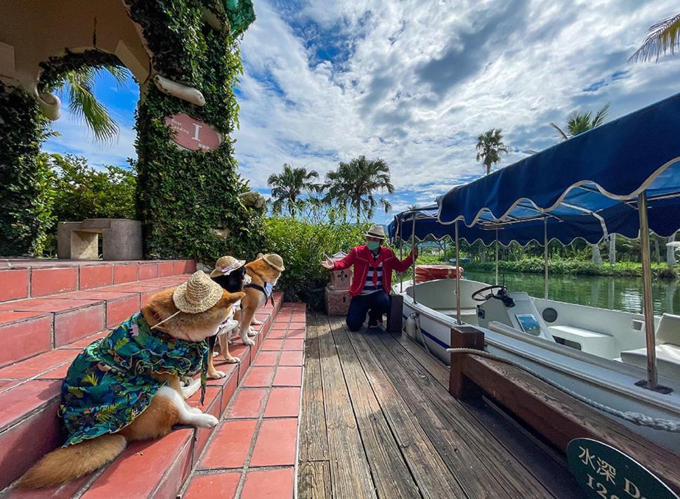 プロミスドランド リゾート&ラグーン 寿豊郷 エクステリア 写真 Dogs on a boat at the park